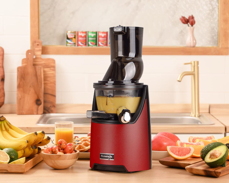 آبمیوه گیری و بستنی ساز Kuvings کره جنوبی مدل EVO820