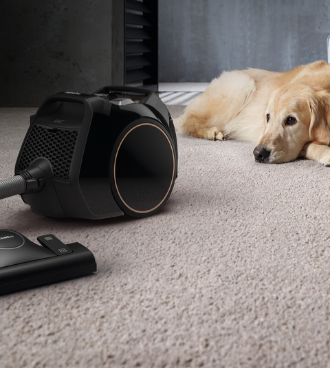 جارو برقی مخزن دار برند Miele آلمان مدل Boost CX1 Cat&Dog PowerLine مشکی