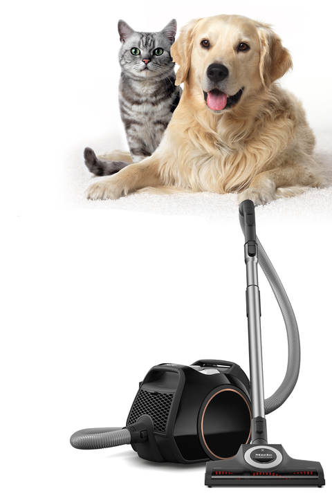 جارو برقی مخزن دار برند Miele آلمان مدل Boost CX1 Cat&Dog PowerLine مشکی